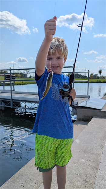 Magnus-Oliver's Bluegill