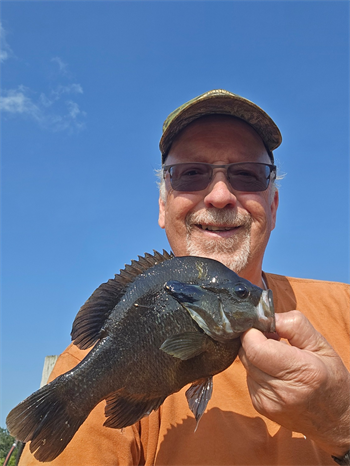 DOUGLAS FARRELL's Green Sunfish 10inch, 08-03-26