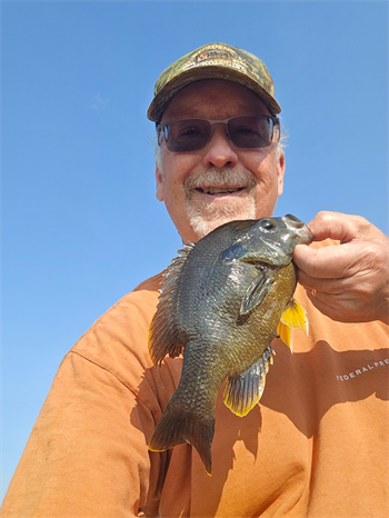 DOUGLAS FARRELL's Green Sunfish 10inch, 08-03-26