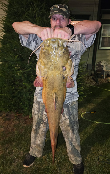 JOHN LAMOS's Flathead Catfish 36.5inch, 07-28-26
