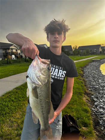 Gavin White's Largemouth Bass 20.5inch