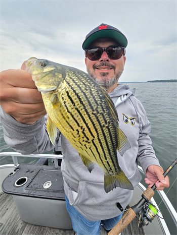 Billy Clucas's Yellow Bass 11.5inch, 08-04-26