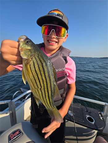 Donovan Howe's Yellow Bass 12.25inch, 08-03-26