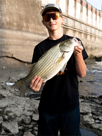 Preston Myers's Wiper (Hybrid Striped Bass) 24inch