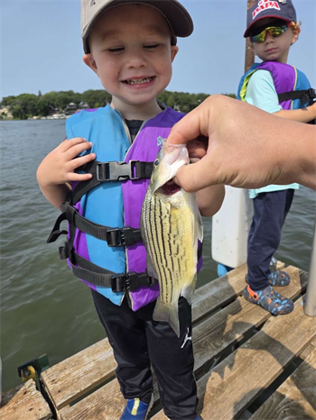 Tyler's Wiper (Hybrid Striped Bass)