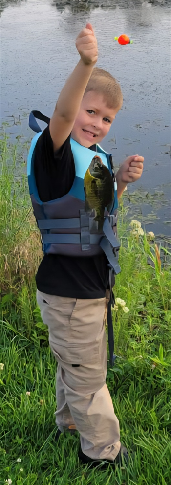 Thomas's Bluegill