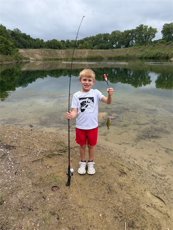 Hayes's Bluegill
