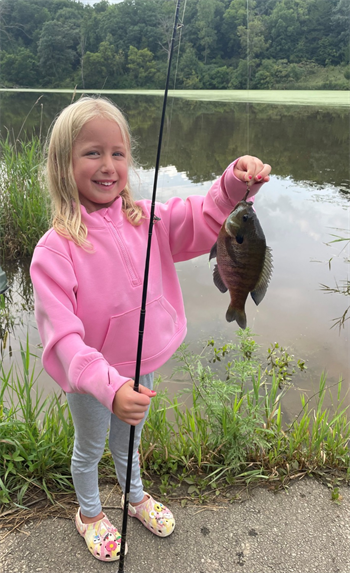 Gracelynn's Bluegill