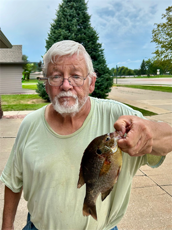 RICK OLSON's Bluegill 10inch, 08-19-26