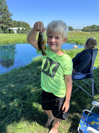 Kallen's Bluegill