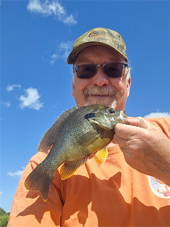 DOUGLAS FARRELL's Green Sunfish 10inch, 08-22-26