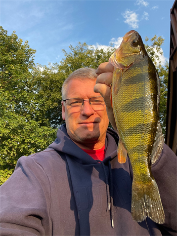 THOMAS KLINGEMANN's Yellow Perch 12.25inch, 08-22-26