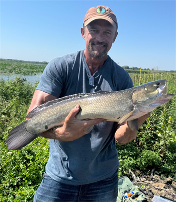 Andrew Ashby's Bowfin 26inch, 08-22-26