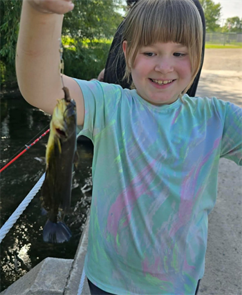 Zoey's Black Bullhead