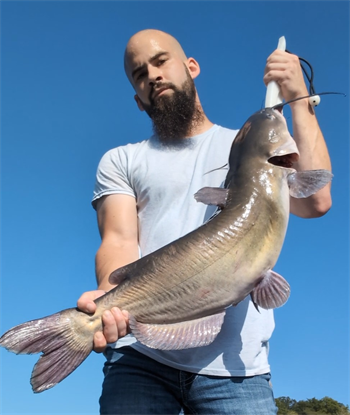 MICHAEL CHAPMAN's Channel Catfish 30.5inch