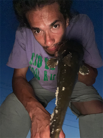 WILLIE VEAL's Black Bullhead 15inch, 07-27-26