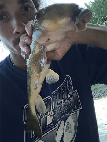 WILLIE VEAL's Northern hog sucker 16inch, 08-16-26