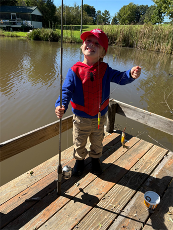 Andy's Bluegill
