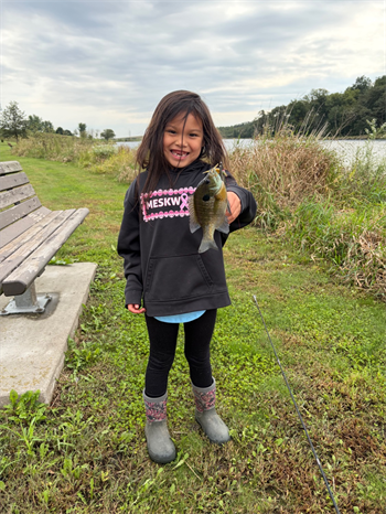 VERA's Bluegill