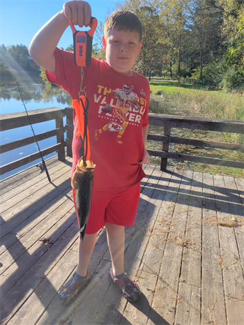 William's Largemouth Bass