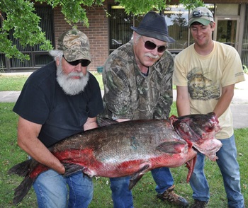 Larry Sparks's Bighead Carp 56inch, 06-15-12