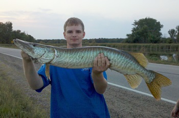 Travis Schlenger's Tiger muskie 40inch, 09-17-12