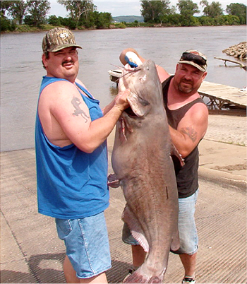 Mike Rush's Blue Catfish 53inch, 06-08-04