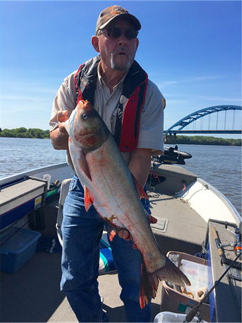 William Coiner's Silver Carp 30inch, 08-09-19