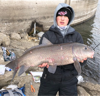 Jacob Schlee's Black Buffalo 34inch, 01-23-21