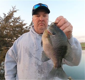Michael Olson's Bluegill 10inch, 04-11-22