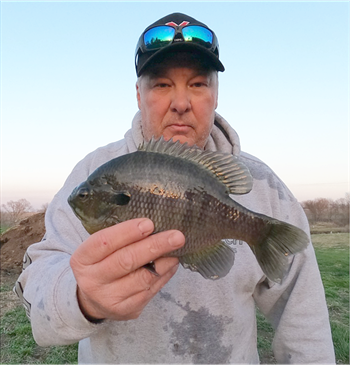 MICHAEL OLSON's Bluegill 10inch, 04-11-22