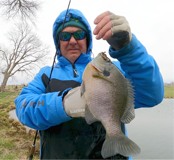 MICHAEL OLSON's Bluegill 10.25inch, 04-13-22