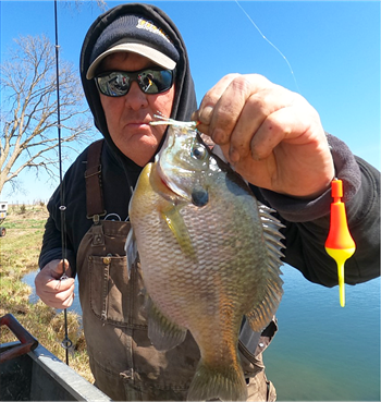 MICHAEL OLSON's Bluegill 10inch, 04-16-22