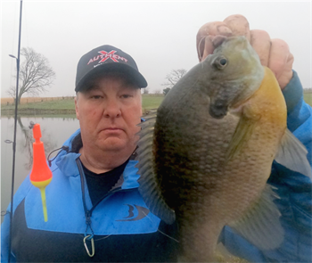 MICHAEL OLSON's Bluegill 10inch, 04-20-22