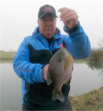 MICHAEL OLSON's Bluegill 10inch, 04-20-22
