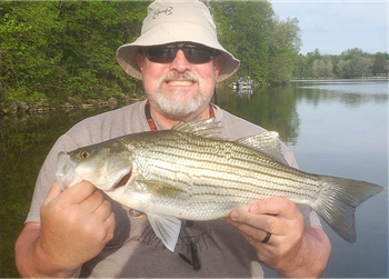 TODD ROGERS's Wiper (Hybrid Striped Bass) 20inch