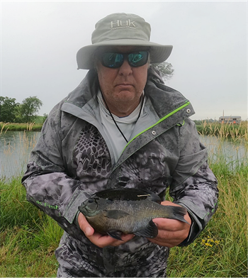 Michael Olson's Bluegill 10inch, 07-01-22
