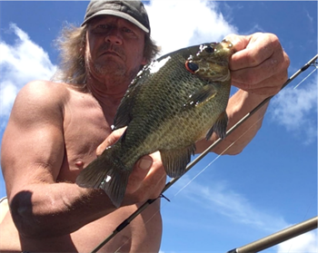 Lonnie Terfehn's Redear Sunfish 11.25inch, 08-26-22