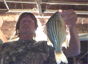Lonnie Terfehn's Yellow Bass 10.5inch, 12-31-22