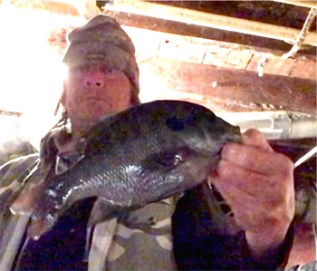 Lonnie Terfehn's Bluegill 11.5inch, 01-21-23