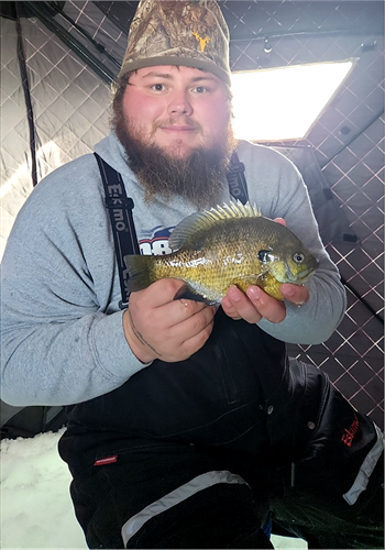 Hunter Nehls's Bluegill 10inch, 02-26-23