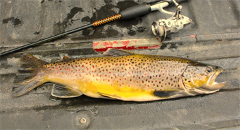 Iowa DNR Fishing Report Week of August 25 – KCHA News