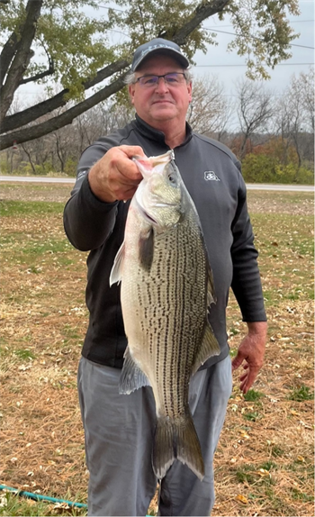 ERIC VANEE's Wiper (Hybrid Striped Bass) 27inch, 11-08-23