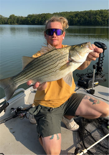 CHASE WITHNELL's Wiper (Hybrid Striped Bass) 24inch