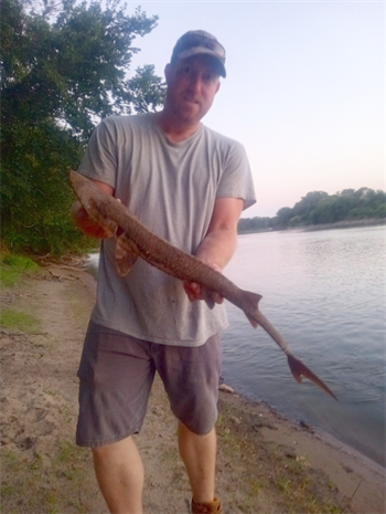 LUCIOUS GILLES's Shovelnose sturgeon 29inch, 09-05-24