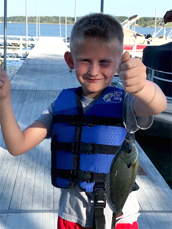 Chase's Bluegill