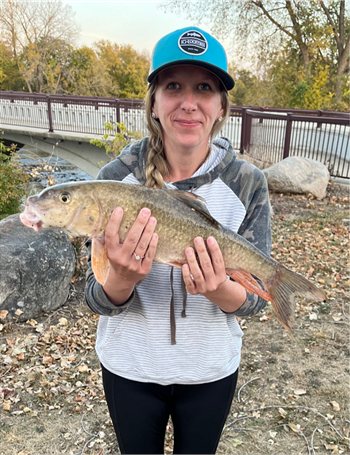 Katie Johnson's Golden Redhorse 21.5inch, 10-20-24