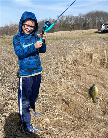 Abel's Bluegill