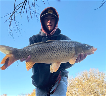 LANDON MEYERS's Common Carp 34inch, 10-25-24