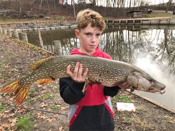 Milo's Northern Pike